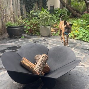 Prototype Desert Rose Fire Pit